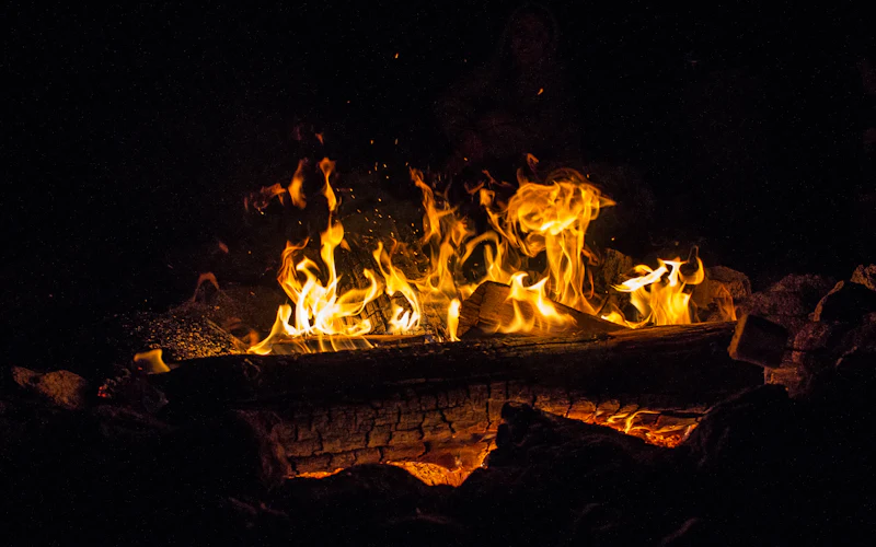 Fiamme vive in una stufa a legna
